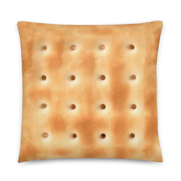 Cojín galleta salada 22x22 pulgadas sobre fondo blanco.